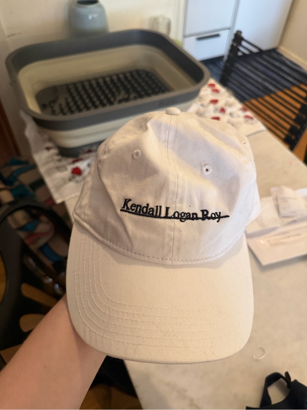 Succession Kendall Logan Ray